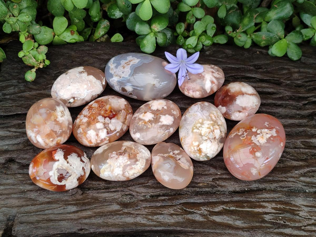 Polished Flower Agate Palm Stones x 12 From Antsahalova, Madagascar - Toprock Gemstones and Minerals 
