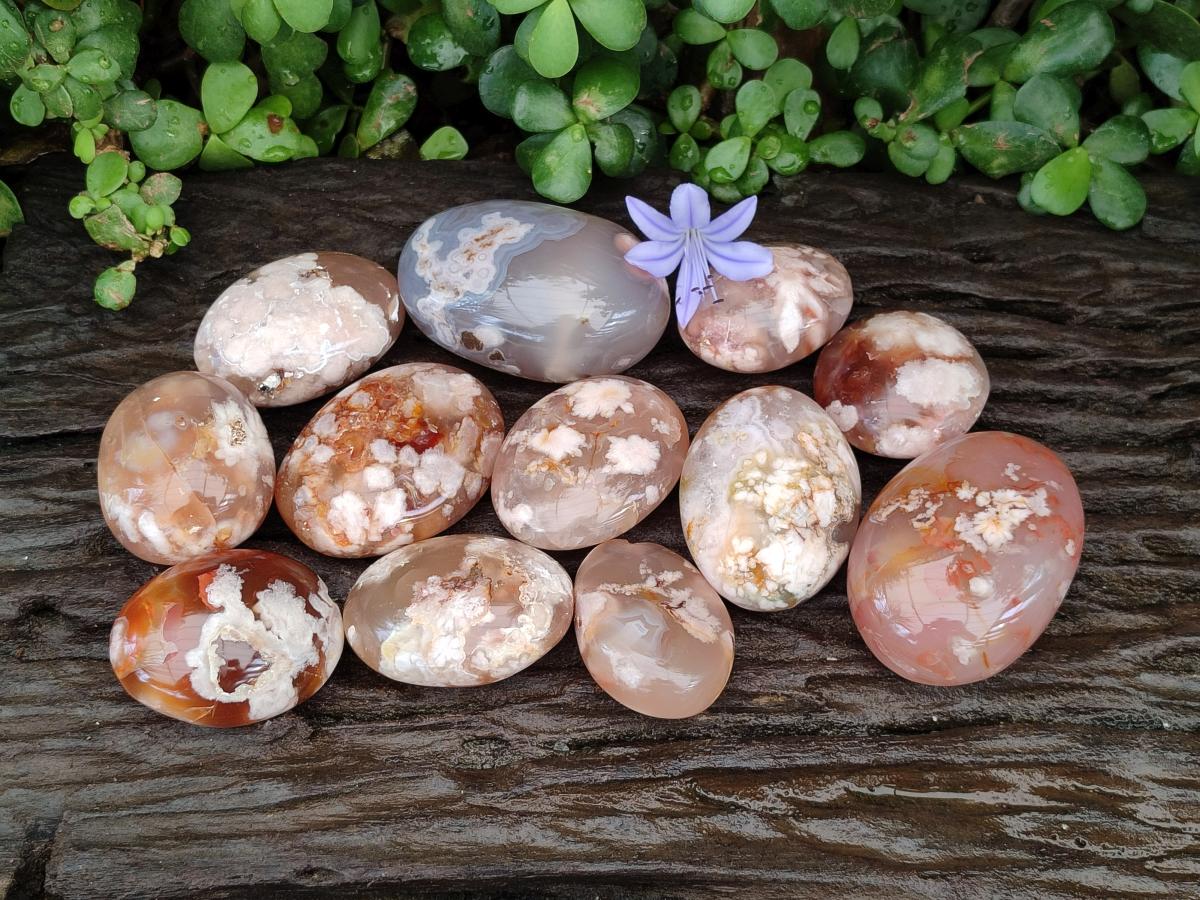 Polished Flower Agate Palm Stones x 12 From Antsahalova, Madagascar - Toprock Gemstones and Minerals 