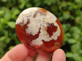 Polished Flower Agate Palm Stones x 12 From Antsahalova, Madagascar - Toprock Gemstones and Minerals 