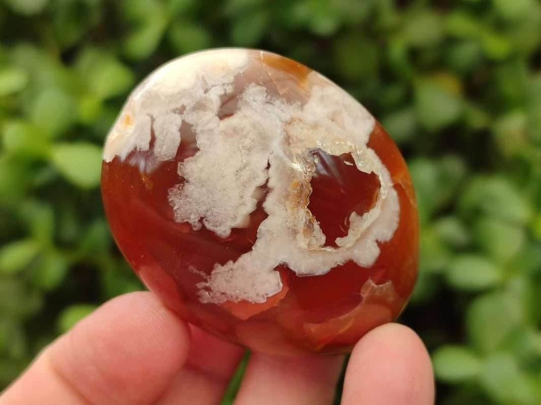 Polished Flower Agate Palm Stones x 12 From Antsahalova, Madagascar