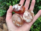 Polished Flower Agate Palm Stones x 12 From Antsahalova, Madagascar - Toprock Gemstones and Minerals 