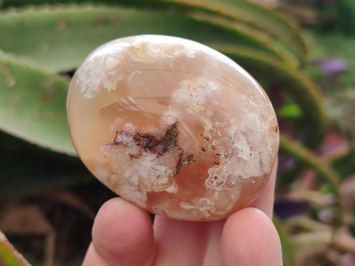 Polished Flower Agate Palm Stones x 12 From Antsahalova, Madagascar - Toprock Gemstones and Minerals 