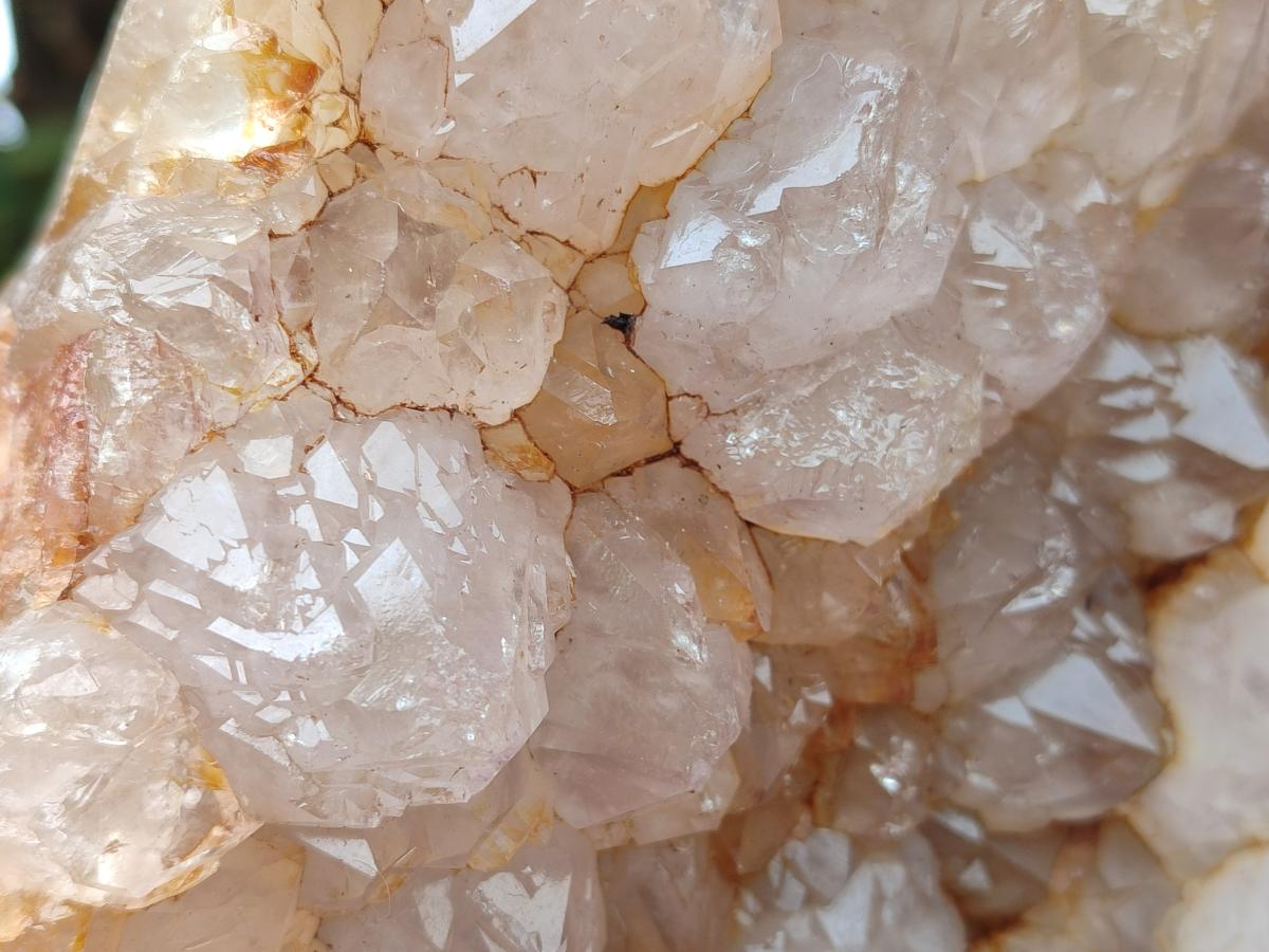 Polished XL Agate with Crystalline Centre x 1 From Maintirano, Madagascar