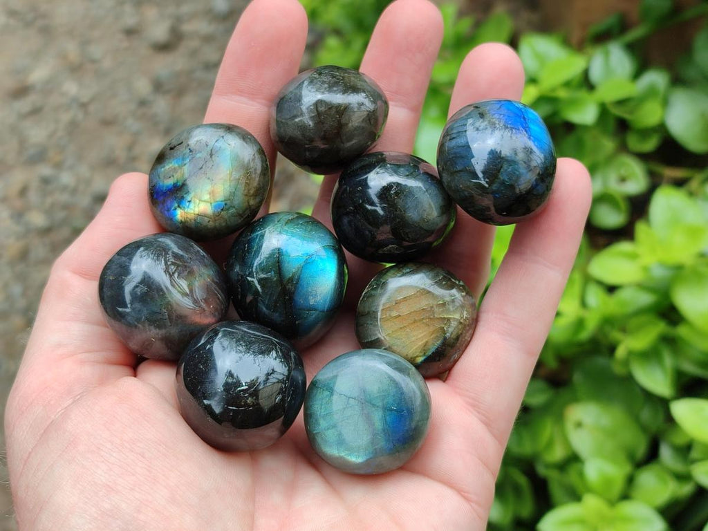 Polished Rounded Labradorite Free Forms x 70 From Madagascar