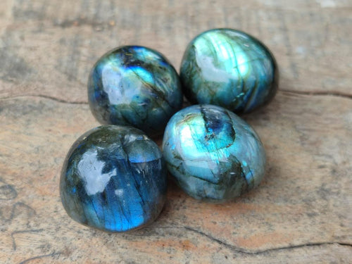 Polished Rounded Labradorite Free Forms x 70 From Madagascar