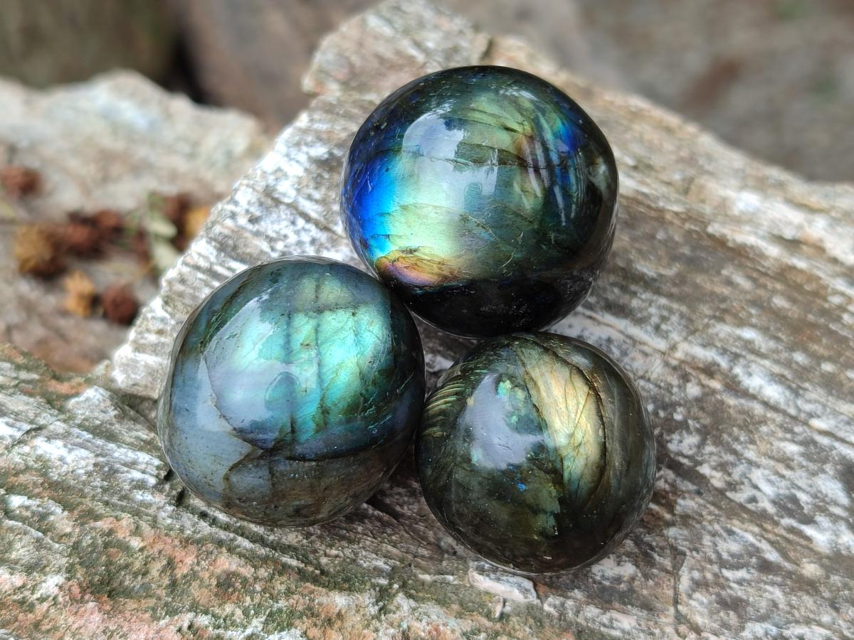 Polished Rounded Labradorite Free Forms x 70 From Madagascar