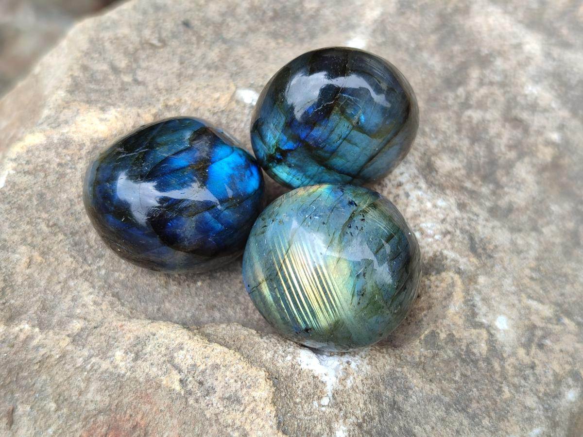 Polished Rounded Labradorite Free Forms x 70 From Madagascar