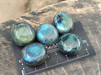 Polished Rounded Labradorite Free Forms x 70 From Madagascar