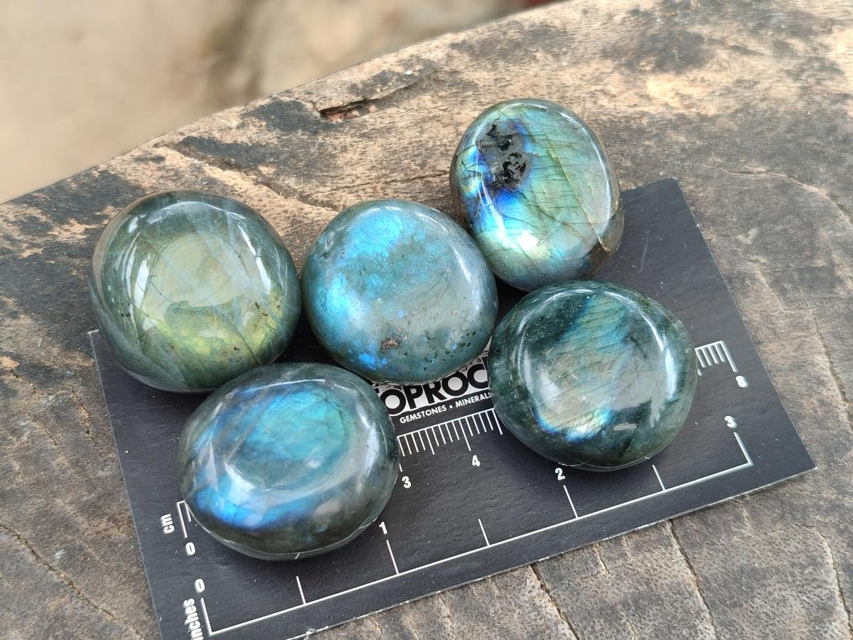 Polished Rounded Labradorite Free Forms x 70 From Madagascar