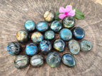 Polished Rounded Labradorite Free Forms x 70 From Madagascar