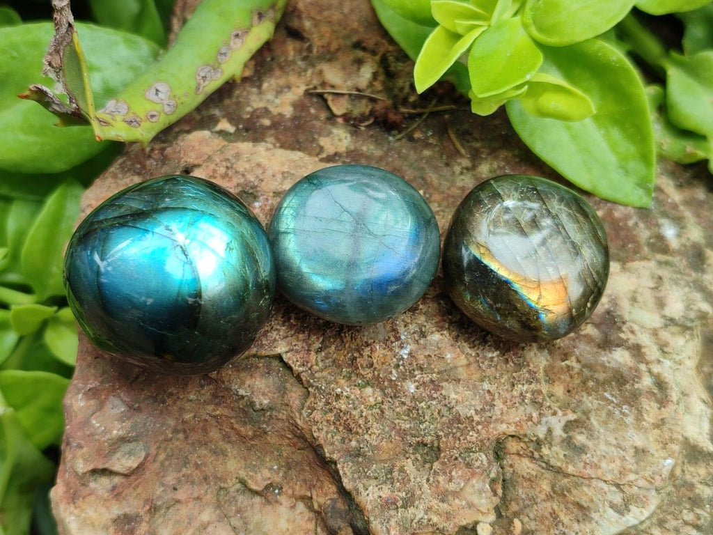 Polished Rounded Labradorite Free Forms x 70 From Madagascar