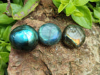 Polished Rounded Labradorite Free Forms x 70 From Madagascar