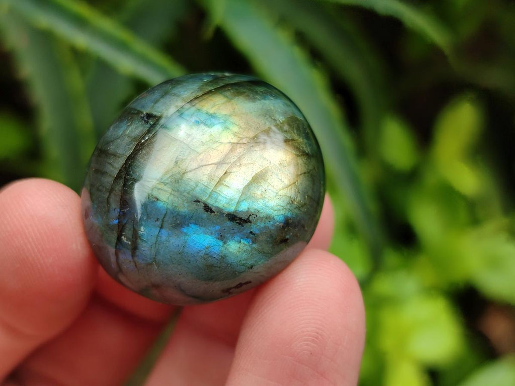Polished Rounded Labradorite Free Forms x 70 From Madagascar