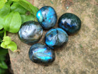 Polished Rounded Labradorite Free Forms x 70 From Madagascar