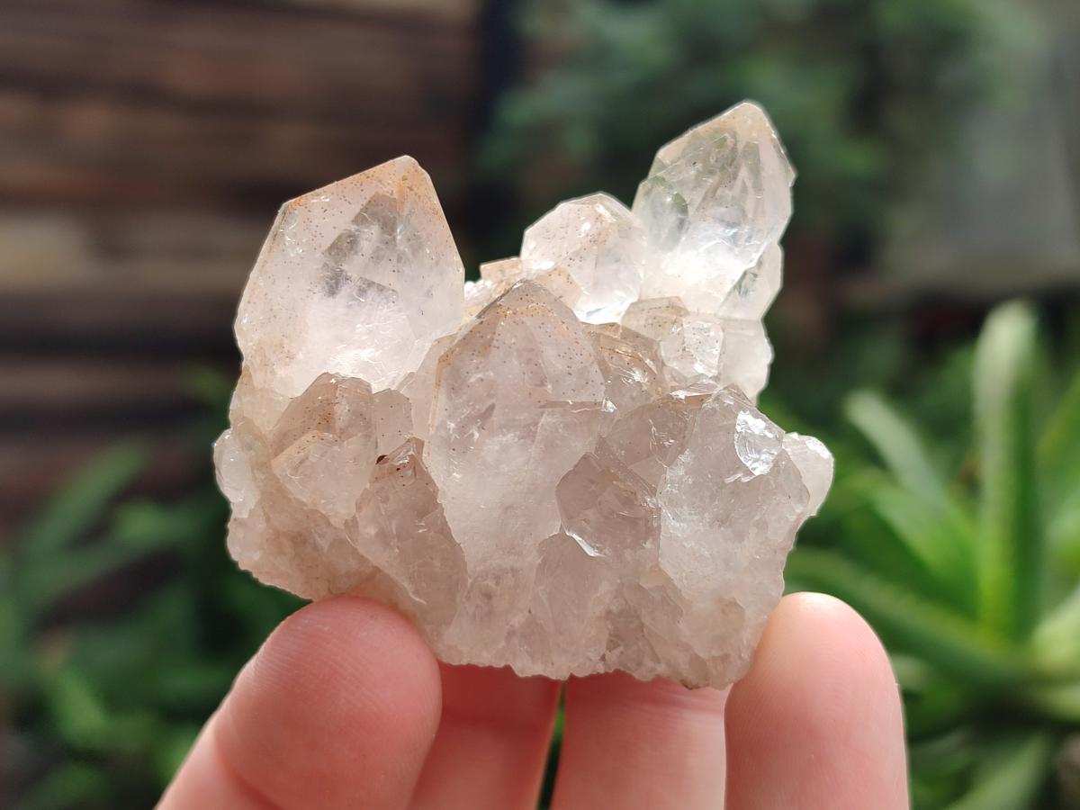 Natural Mwinilunga Quartz Crystal Plates with Goethite Needles x 35 From Mwinilunga, Zambia