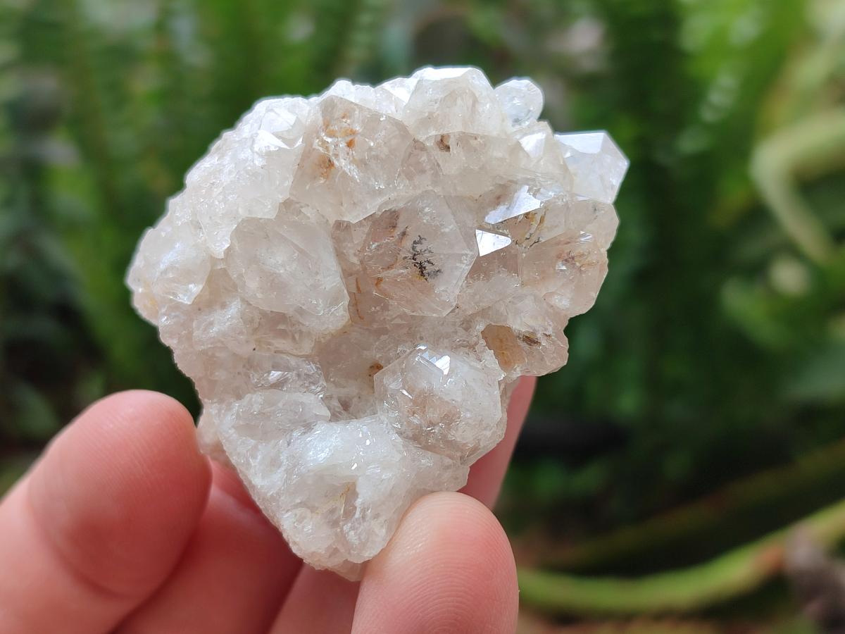 Natural Mwinilunga Quartz Crystal Plates with Goethite Needles x 35 From Mwinilunga, Zambia
