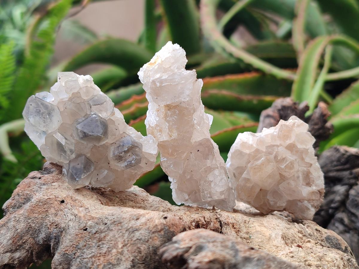 Natural Mwinilunga Quartz Crystal Plates with Goethite Needles x 35 From Mwinilunga, Zambia