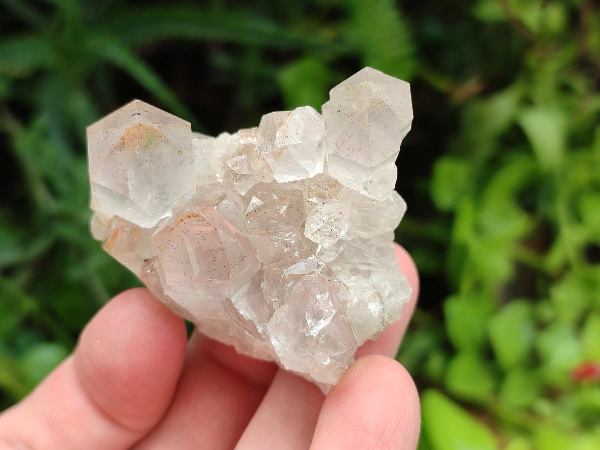 Natural Mwinilunga Quartz Crystal Plates with Goethite Needles x 35 From Mwinilunga, Zambia