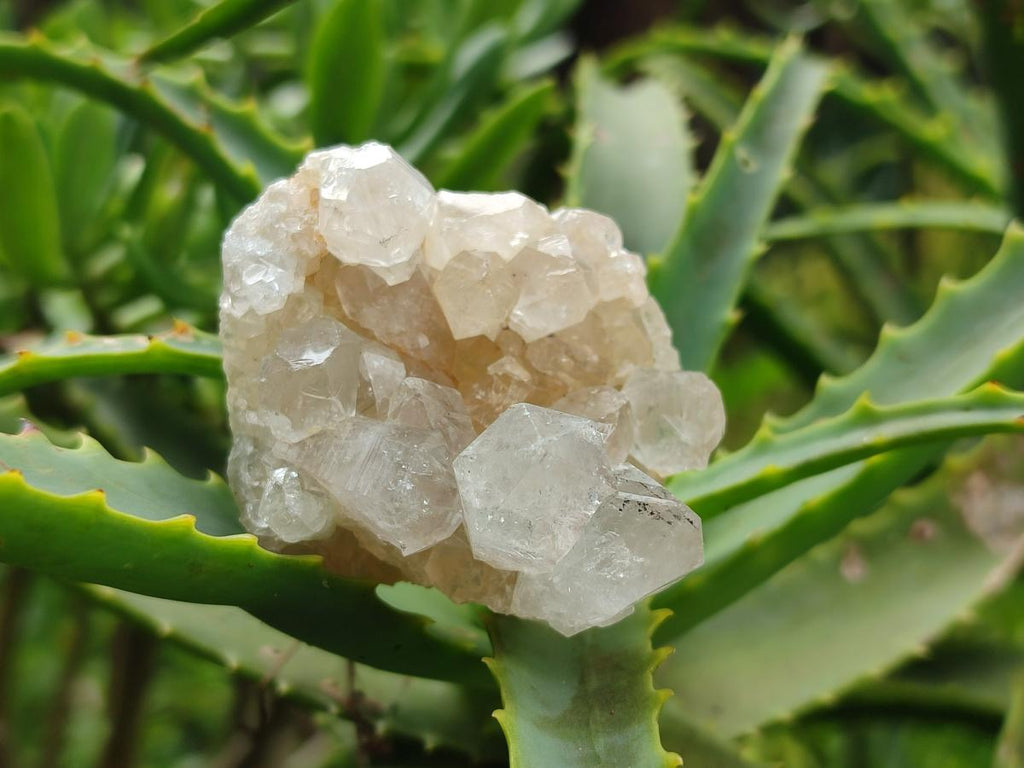 Natural Mwinilunga Quartz Crystal Plates with Goethite Needles x 35 From Mwinilunga, Zambia