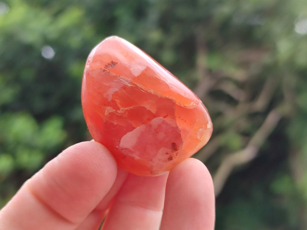 Polished Red Shashe River Agate Free Forms x 35 From Shashe River, Zimbabwe