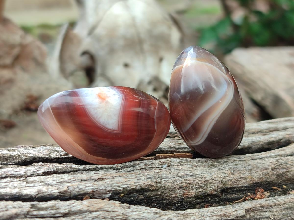 Polished Red Shashe River Agate Free Forms x 35 From Shashe River, Zimbabwe