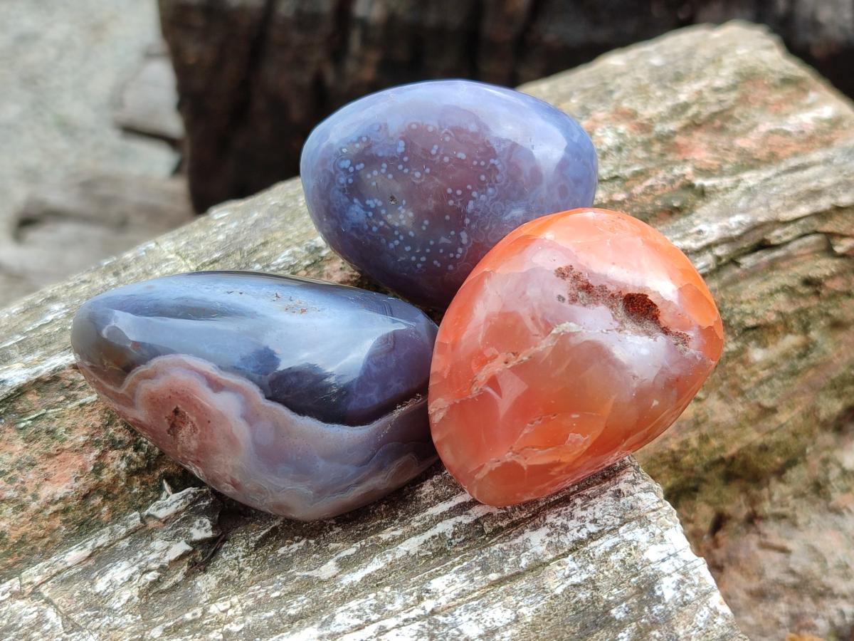 Polished Red Shashe River Agate Free Forms x 35 From Shashe River, Zimbabwe
