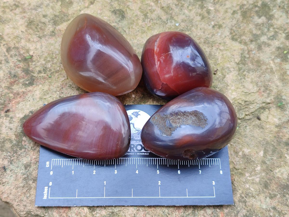 Polished Red Shashe River Agate Free Forms x 35 From Shashe River, Zimbabwe