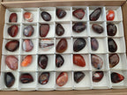 Polished Red Shashe River Agate Free Forms x 35 From Shashe River, Zimbabwe