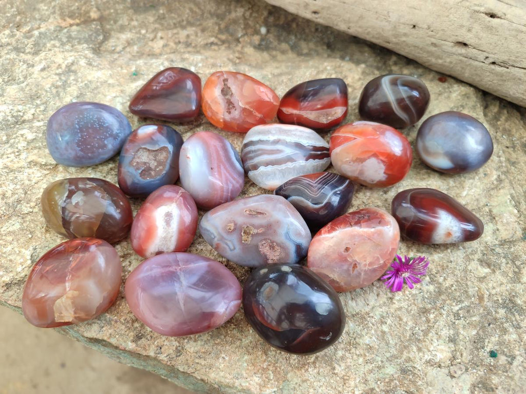 Polished Red Shashe River Agate Free Forms x 35 From Shashe River, Zimbabwe