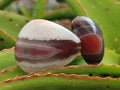 Polished Red Shashe River Agate Free Forms x 35 From Shashe River, Zimbabwe