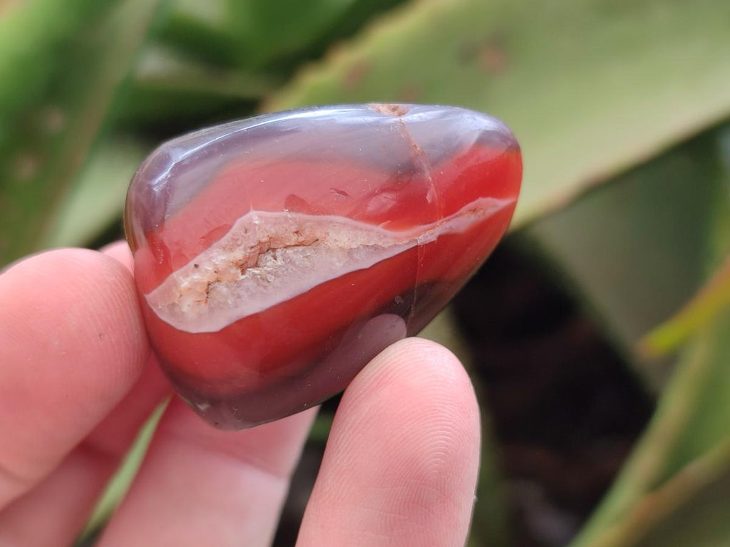 Polished Red Shashe River Agate Free Forms x 35 From Shashe River, Zimbabwe