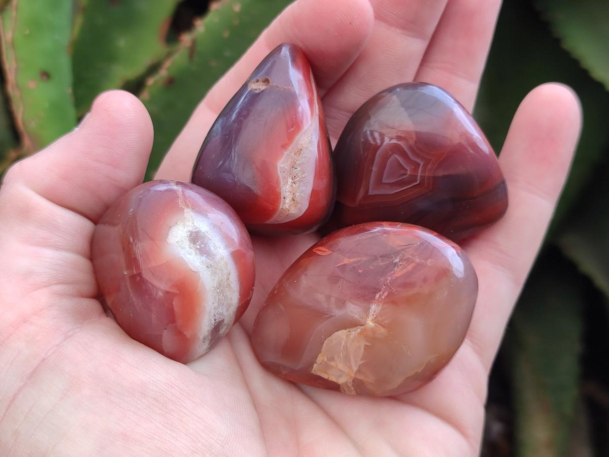 Polished Red Shashe River Agate Free Forms x 35 From Shashe River, Zimbabwe