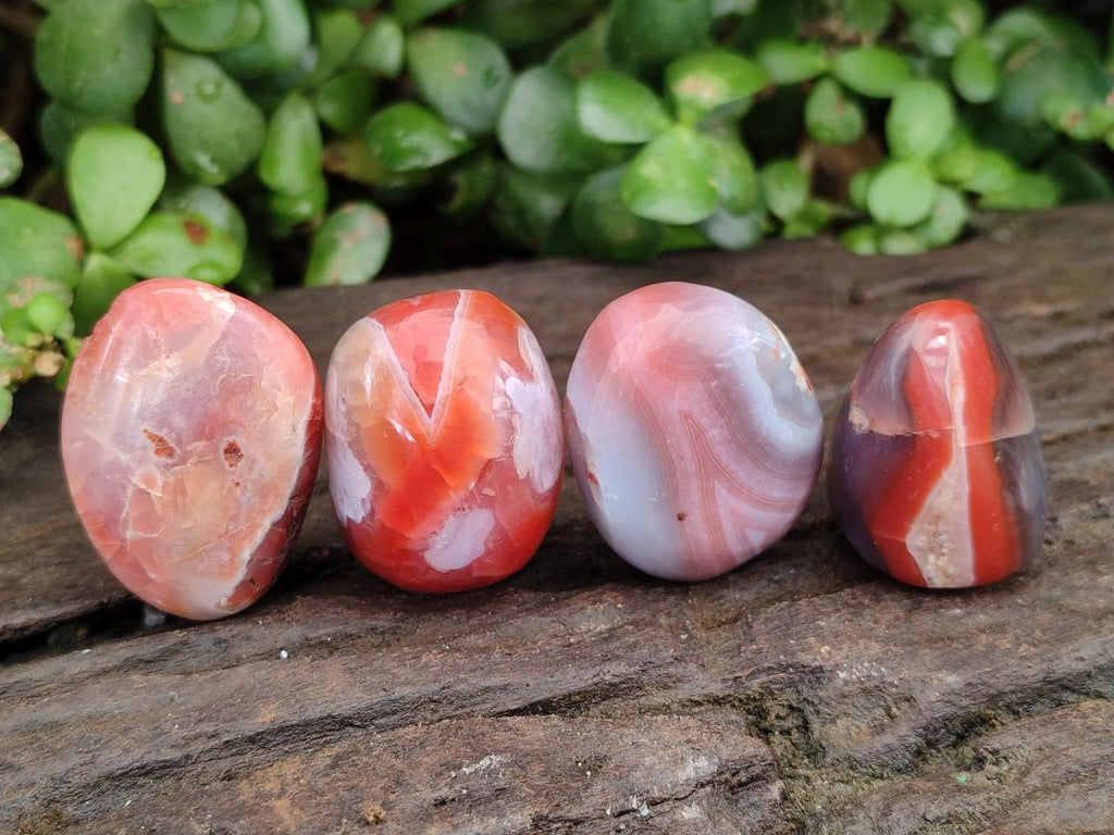 Polished Red Shashe River Agate Free Forms x 35 From Shashe River, Zimbabwe