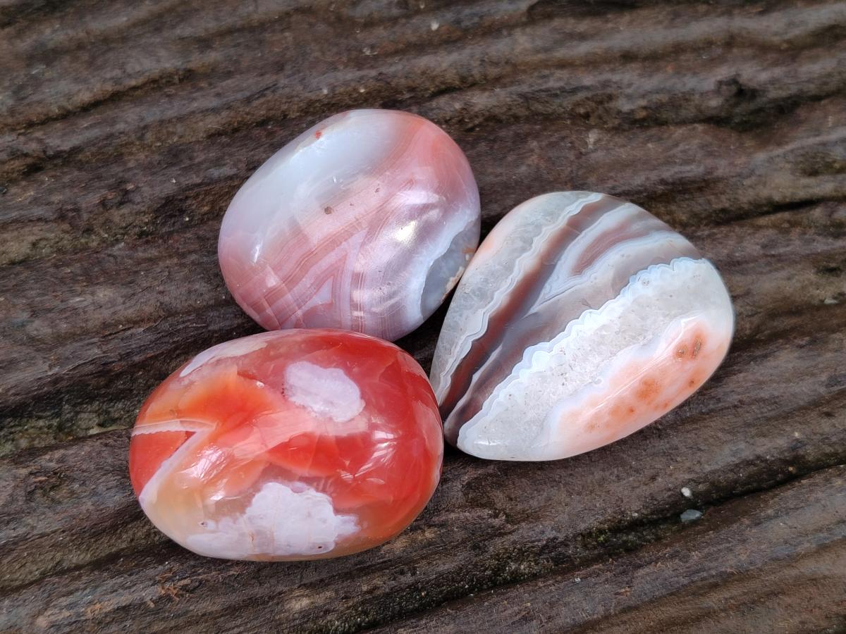 Polished Red Shashe River Agate Free Forms x 35 From Shashe River, Zimbabwe