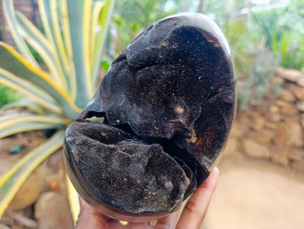 Polished Septerye "Dragons Egg" and Standing Free Form x 2 From Mahajanga, Madagascar