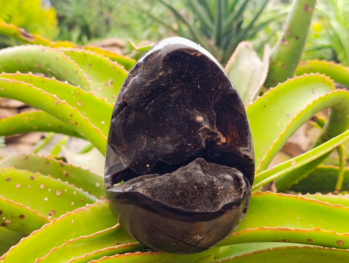 Polished Septerye "Dragons Egg" and Standing Free Form x 2 From Mahajanga, Madagascar