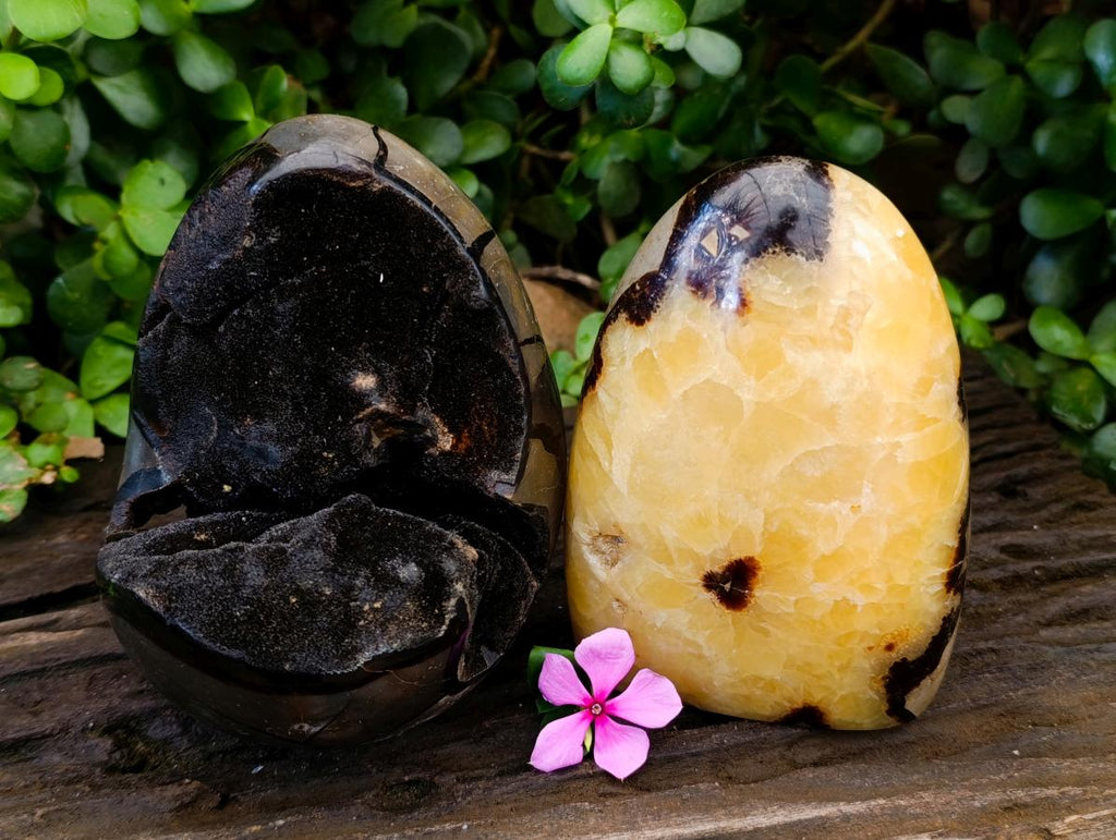 Polished Septerye "Dragons Egg" and Standing Free Form x 2 From Mahajanga, Madagascar