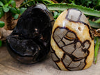 Polished Septerye "Dragons Egg" and Standing Free Form x 2 From Mahajanga, Madagascar