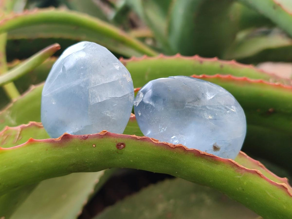 Polished Blue Celestite Free Form Crystals x 12 From Sakoany, Madagascar