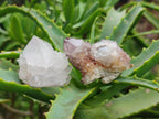 Natural Mixed Spirit Quartz Crystals and Clusters x 47 From Boekenhouthoek, South Africa