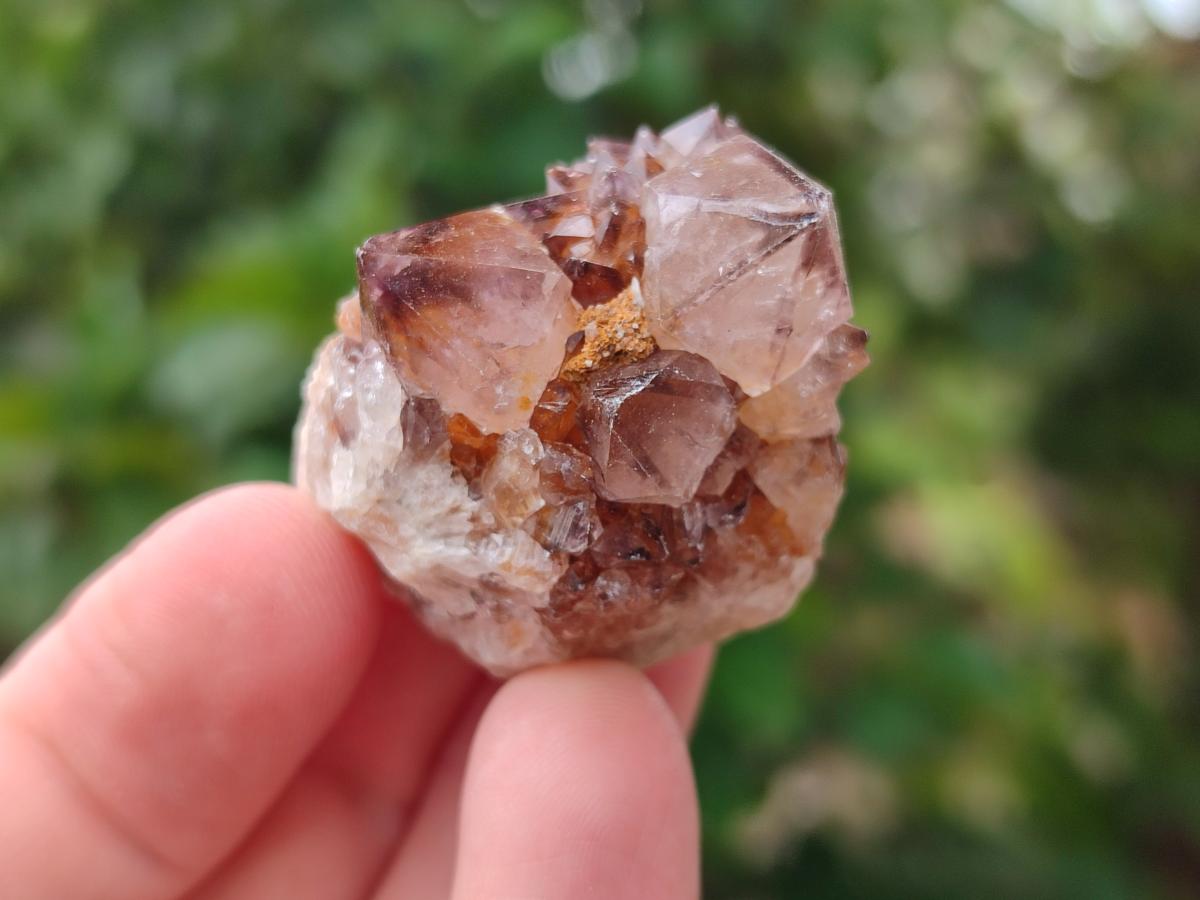 Natural Mixed Spirit Quartz Crystals and Clusters x 47 From Boekenhouthoek, South Africa