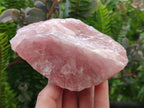 Natural Cobbed Rose Quartz Specimens x 7 From Northern Cape, South Africa