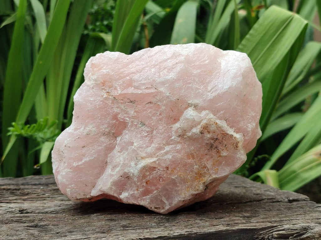 Natural Cobbed Rose Quartz Specimens x 7 From Northern Cape, South Africa