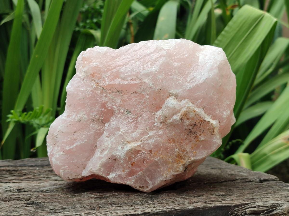Natural Cobbed Rose Quartz Specimens x 7 From Northern Cape, South Africa