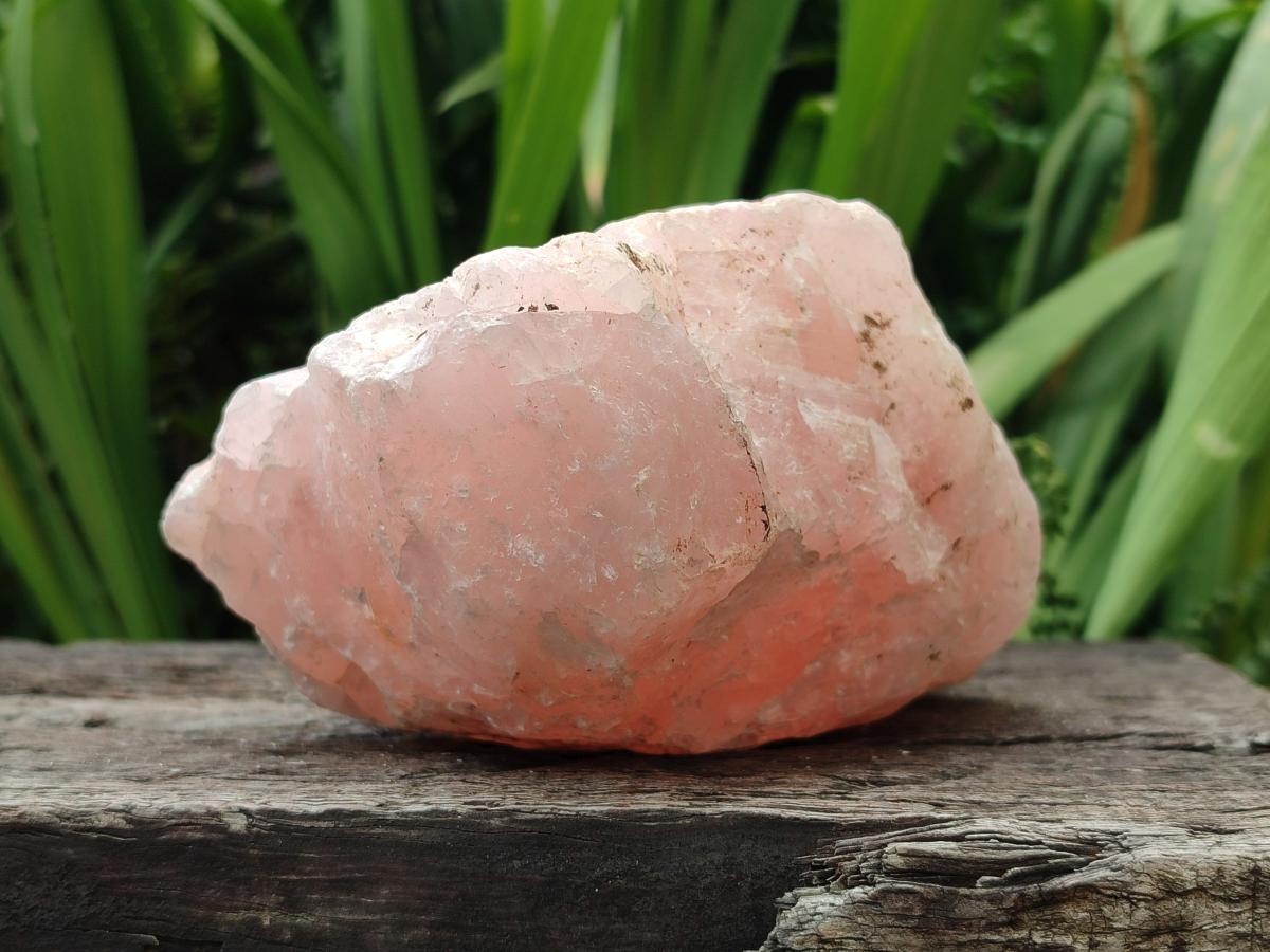 Natural Cobbed Rose Quartz Specimens x 7 From Northern Cape, South Africa