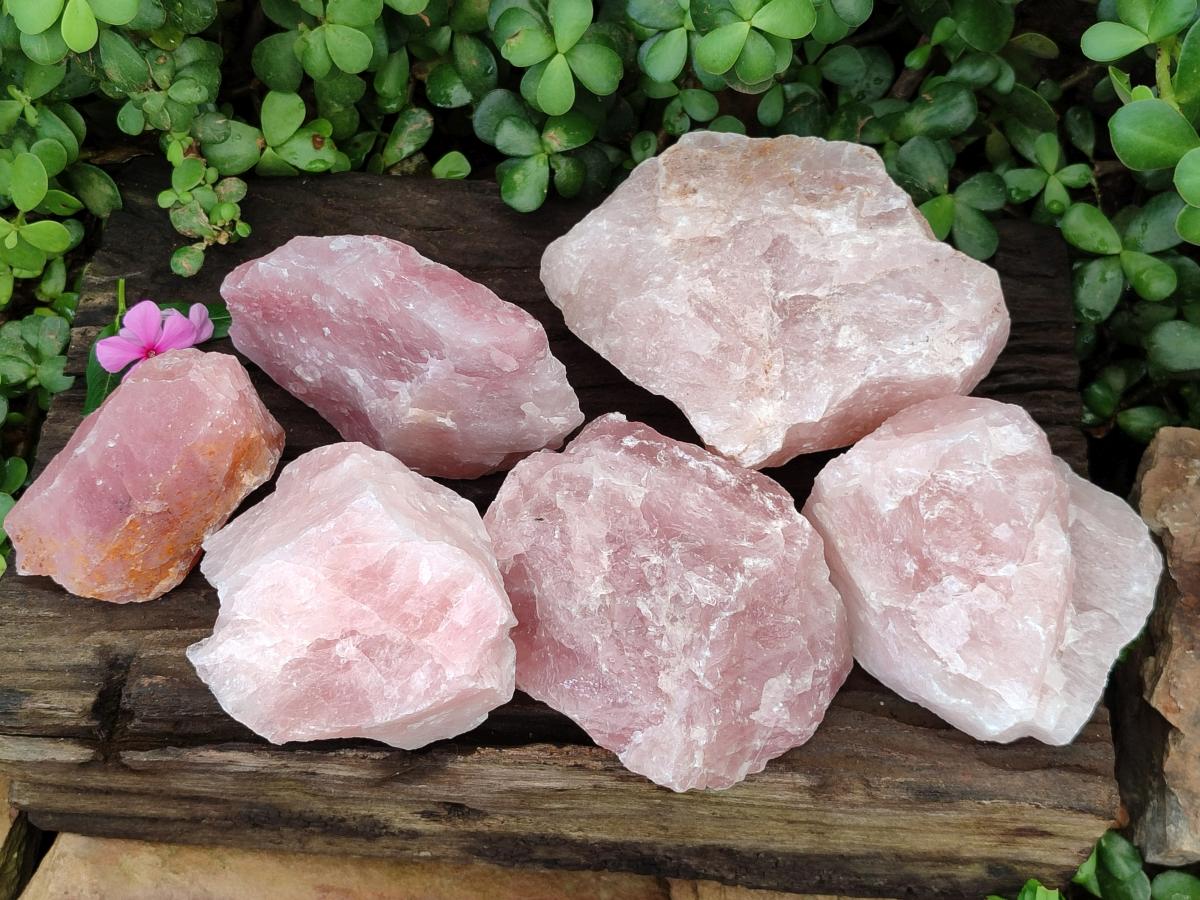 Natural Cobbed Rose Quartz Specimens x 7 From Northern Cape, South Africa