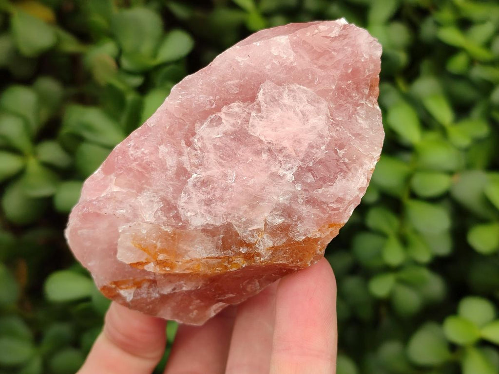 Natural Cobbed Rose Quartz Specimens x 7 From Northern Cape, South Africa