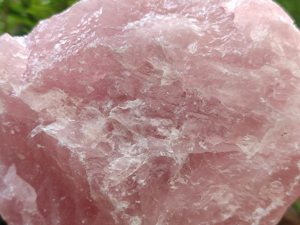 Natural Cobbed Rose Quartz Specimens x 7 From Northern Cape, South Africa