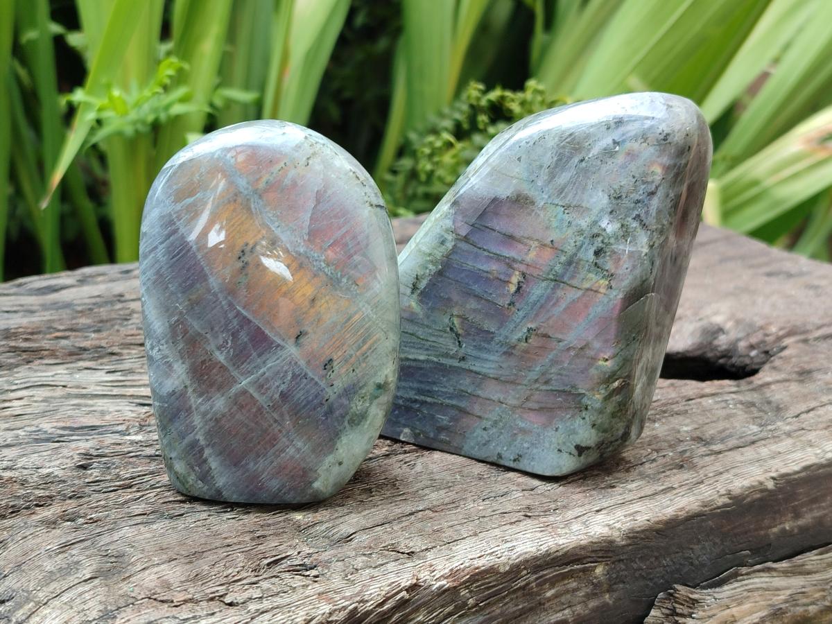 Polished Rare Purple Sunset Flash Labradorite Standing Free Forms x 3 From Madagascar