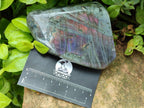 Polished Rare Purple Sunset Flash Labradorite Standing Free Forms x 3 From Madagascar